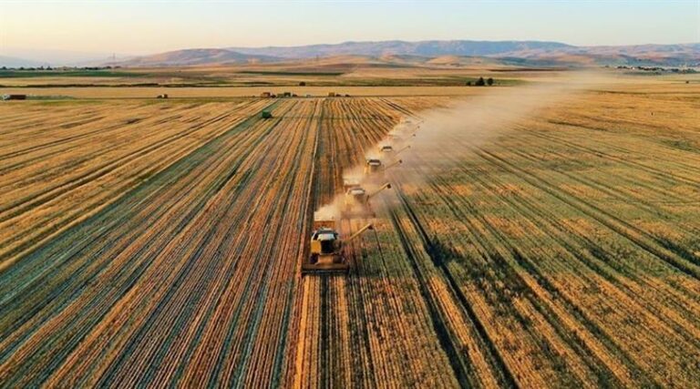 TARIM VE ORMAN BAKANLIĞI’NDAN “33 SORUDA PLANLI ÜRETİM” REHBERİ